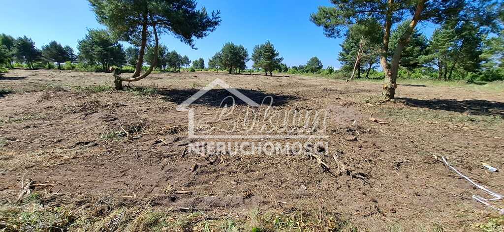 Działka budowlana 1,66&nbsp;ha, Miłowo - zdjęcie 3