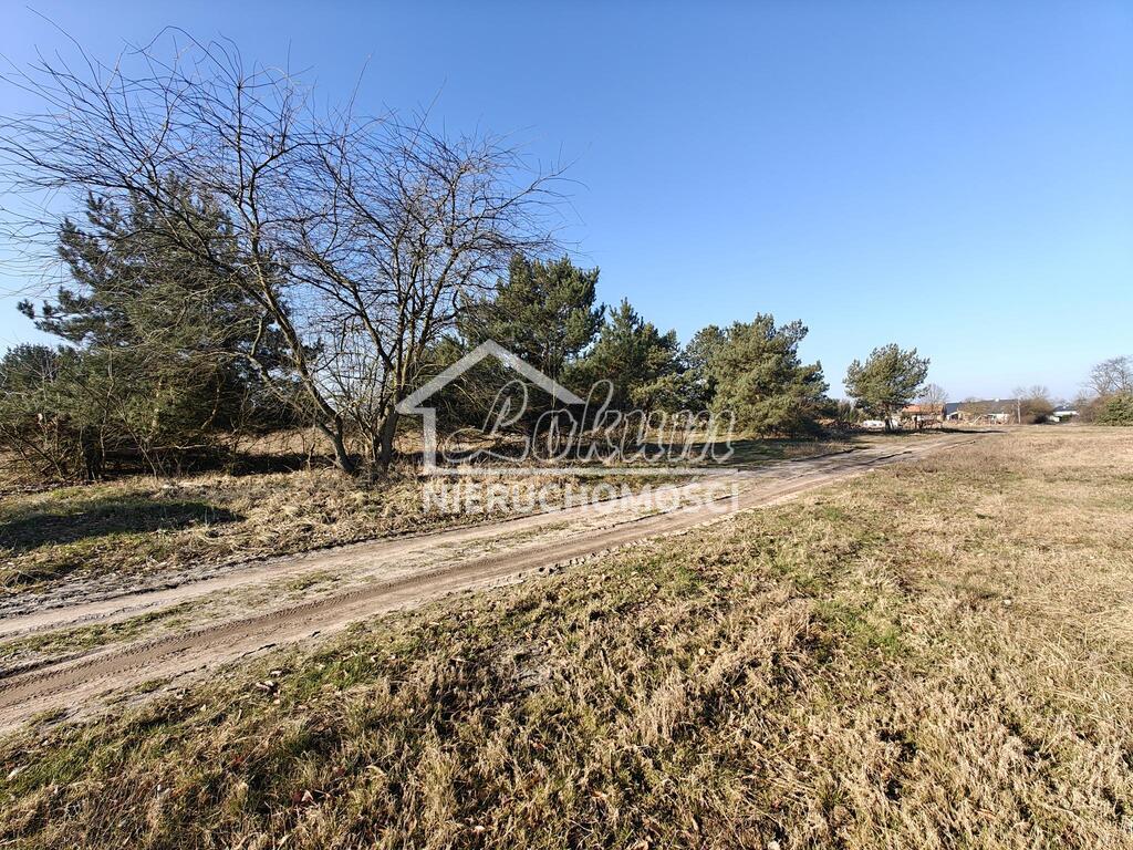 Działka budowlana 1,66&nbsp;ha, Miłowo - zdjęcie 1