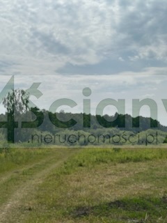 Działka budowlana 2176&nbsp;m², Wolica - zdjęcie 1