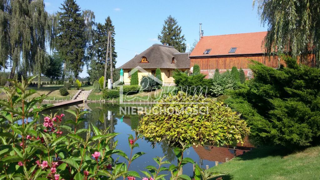 Dom 262&nbsp;m², Kolonia Maszewo - zdjęcie 1