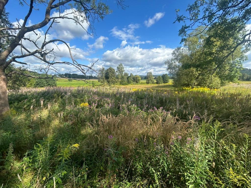 Działka gospodarstwo 1,72 ha, Łomnica, Karpnicka - zdjęcie 1
