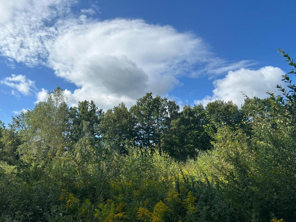 Działka gospodarstwo 1,72 ha, Łomnica, Karpnicka - zdjęcie 10