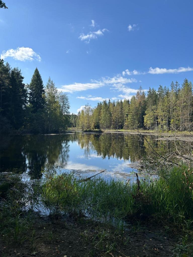 Działka gospodarstwo 1,72 ha, Łomnica, Karpnicka - zdjęcie 11