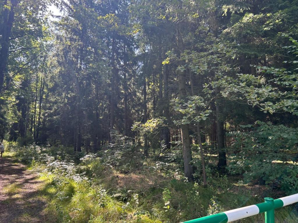 Działka gospodarstwo 1,72 ha, Łomnica, Karpnicka - zdjęcie 7