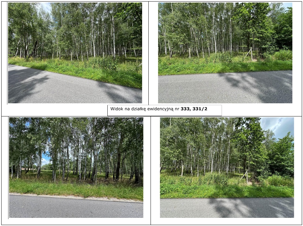 Działka budowlana 5,79 ha, Dąbrowica - zdjęcie 4