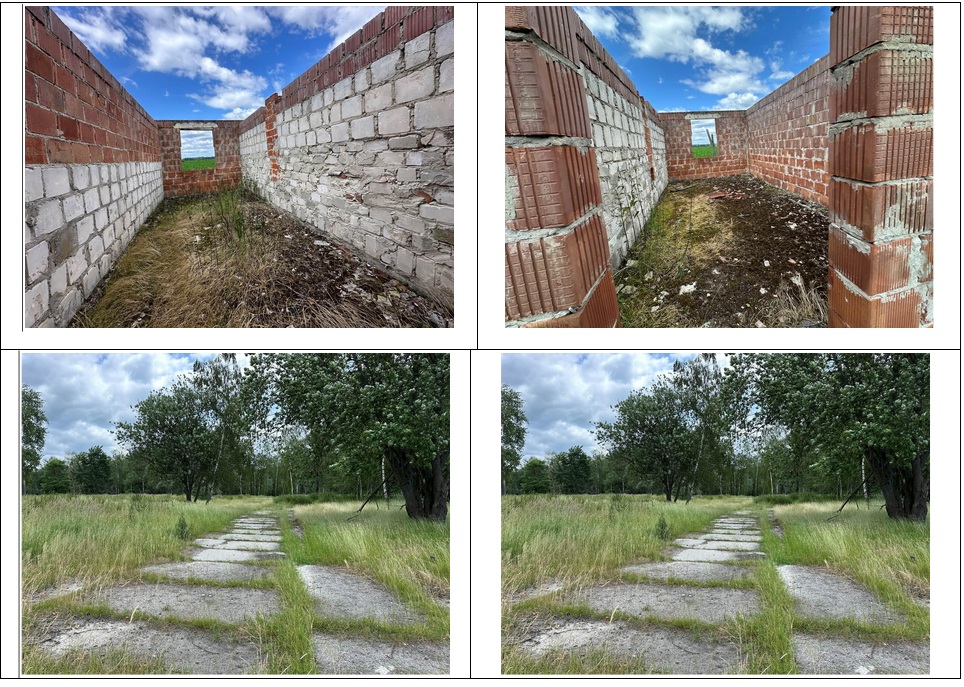 Działka budowlana 5,79 ha, Dąbrowica - zdjęcie 2