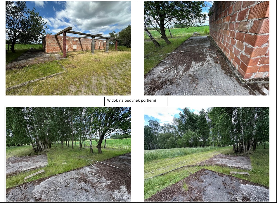 Działka budowlana 5,79 ha, Dąbrowica - zdjęcie 3