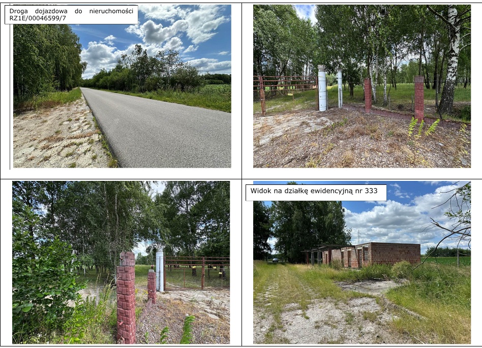 Działka budowlana 5,79 ha, Dąbrowica - zdjęcie 1