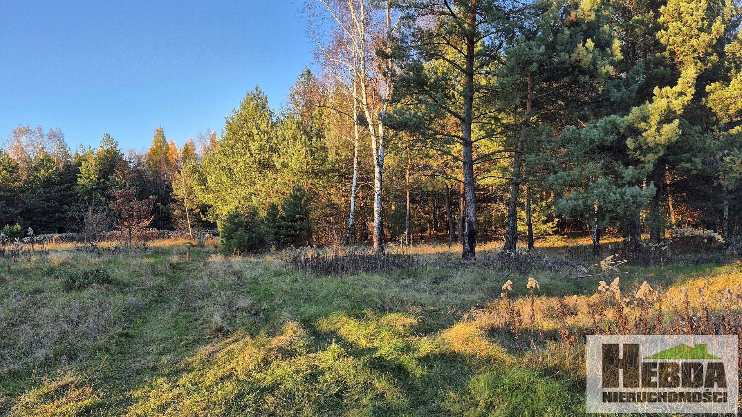 POGÓRSKA WOLA, za 400 000 zł ,dokończenie budynku mieszkalnego o pow. 140 m2, w pięknym miejscu ! - zdjęcie 6