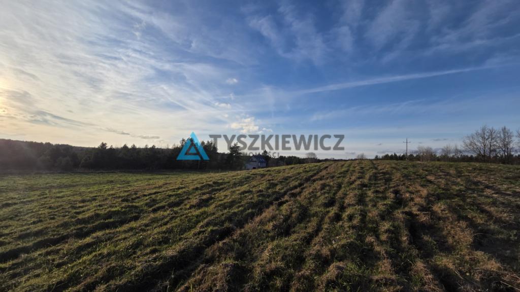 Malowniczo położona działka rolna- Głodowo - zdjęcie 7