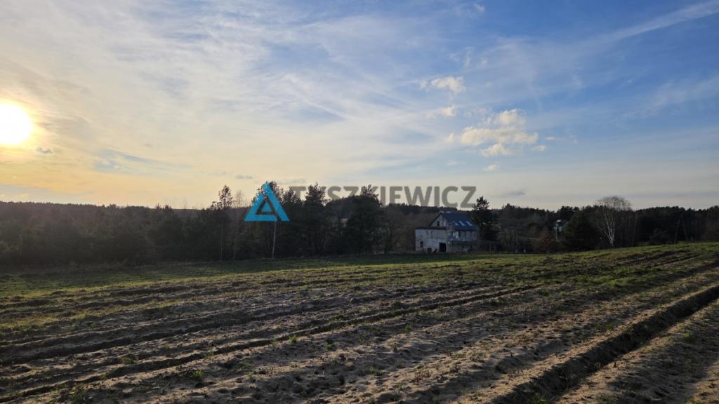Malowniczo położona działka rolna- Głodowo - zdjęcie 16