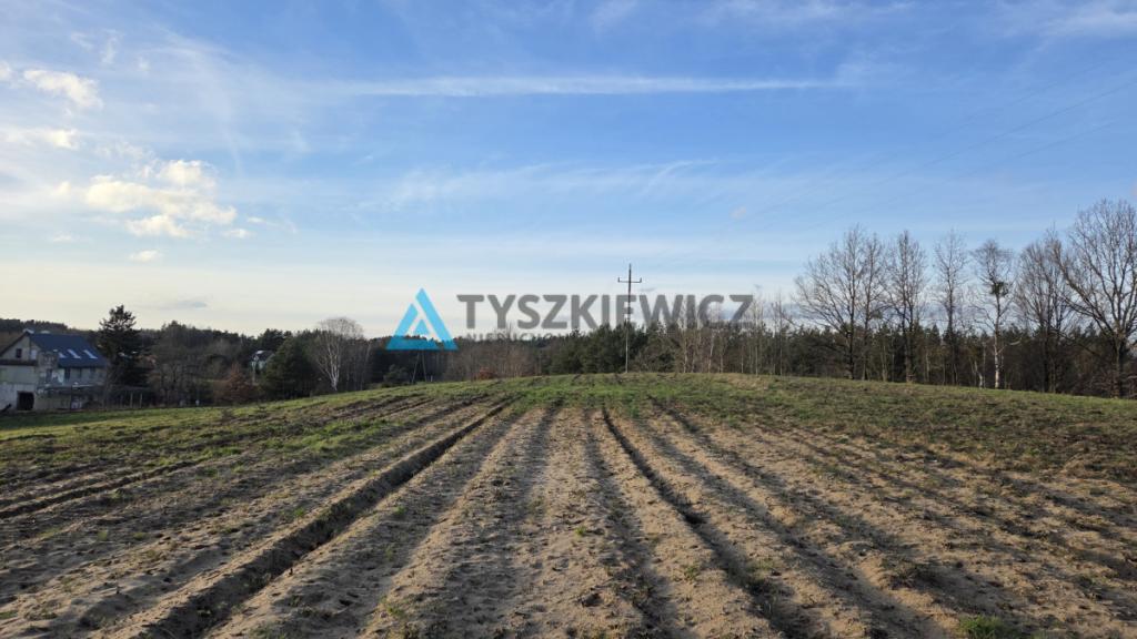 Malowniczo położona działka rolna- Głodowo - zdjęcie 17