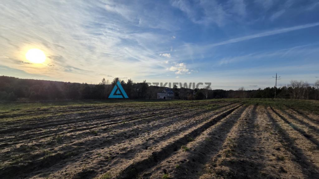 Malowniczo położona działka rolna- Głodowo - zdjęcie 8