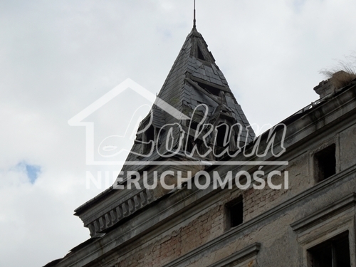 Lokal usługowy na sprzedaż, 574&nbsp;m², Wierzbięcin - zdjęcie 11