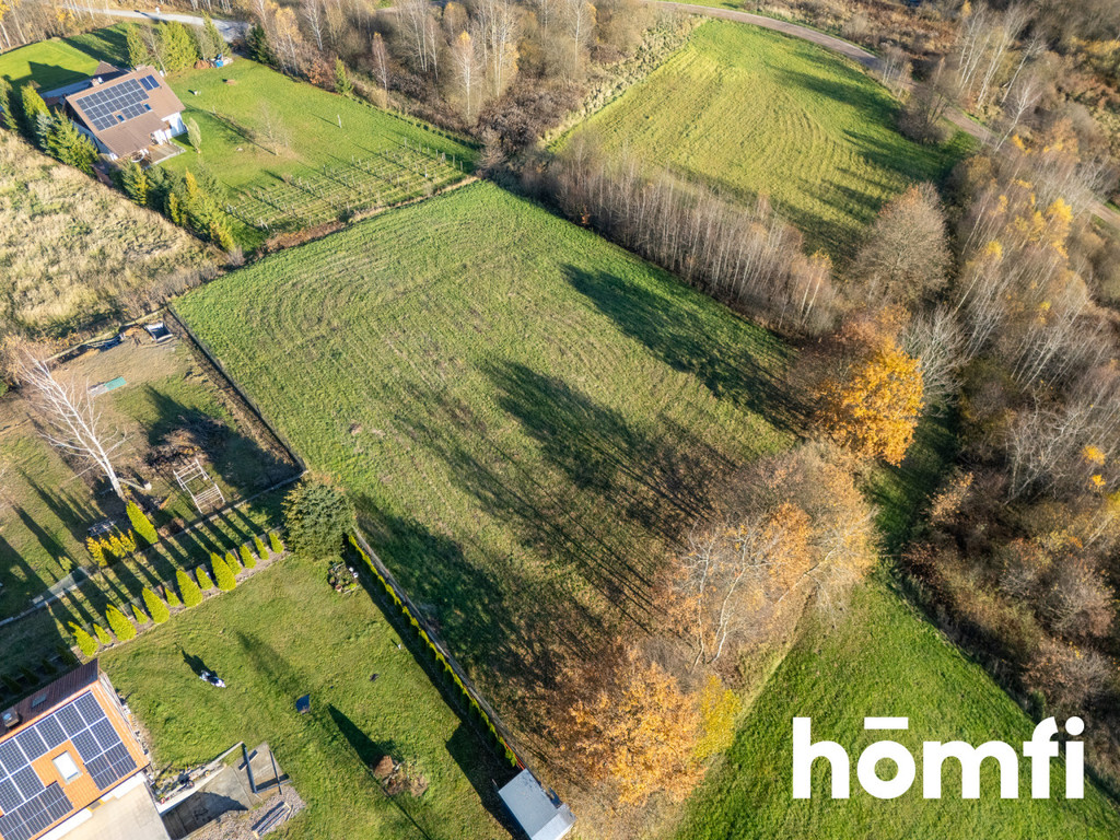 Działka budowlana 5199 m², Włosań, Bajeczna - zdjęcie 14
