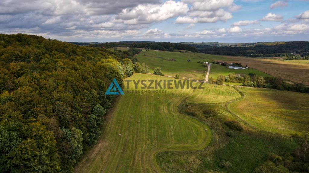 Kompleks 6 działek przy lesie Trzepowo - zdjęcie 14