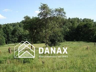Działka rolna 5000 m², Nielepice - zdjęcie 1