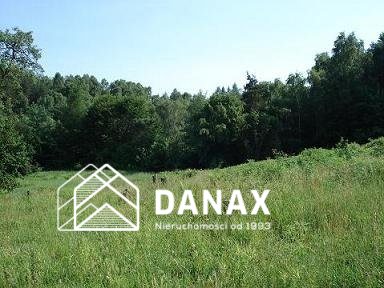 Działka rolna 5000 m², Nielepice - zdjęcie 2
