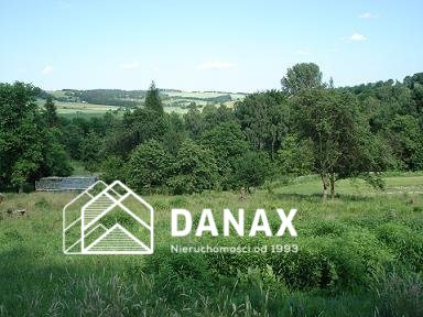 Działka rolna 5000 m², Nielepice - zdjęcie 4
