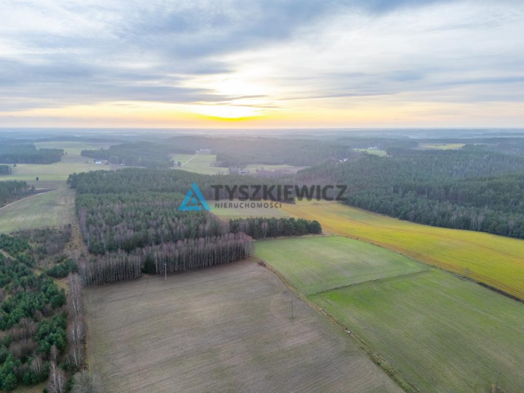 Atrakcyjna działka wśród lasów i jezior - Rekowo - zdjęcie 17