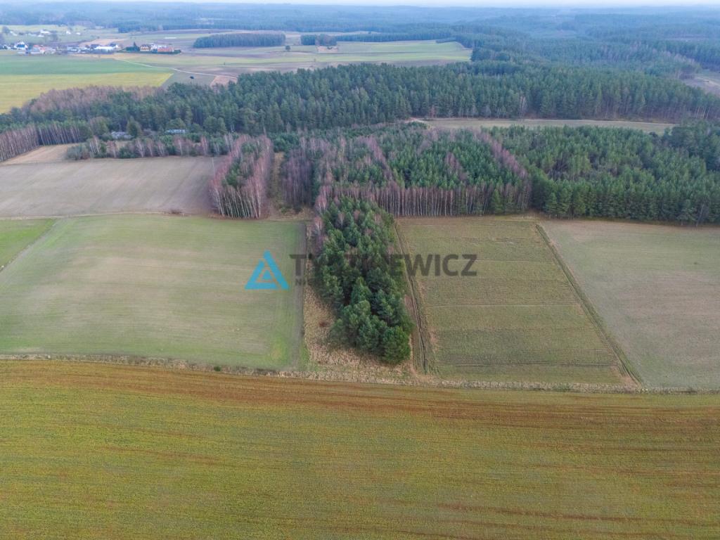 Atrakcyjna działka wśród lasów i jezior - Rekowo - zdjęcie 11