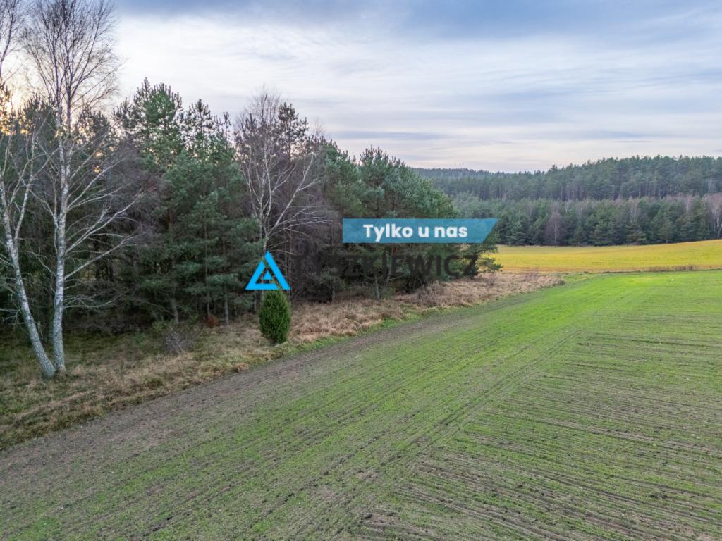 Atrakcyjna działka wśród lasów i jezior - Rekowo - zdjęcie 1