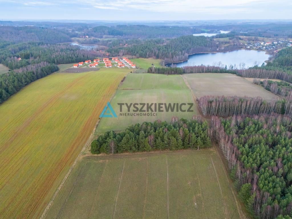 Atrakcyjna działka wśród lasów i jezior - Rekowo - zdjęcie 8