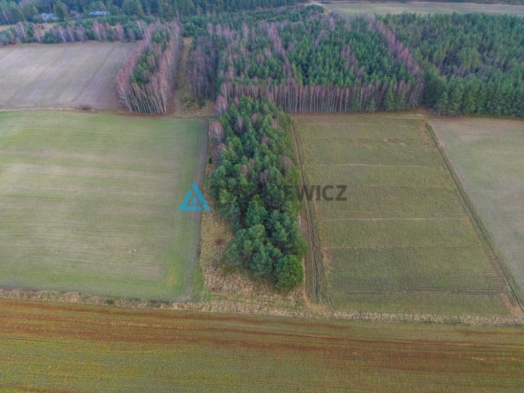 Atrakcyjna działka wśród lasów i jezior - Rekowo - zdjęcie 14