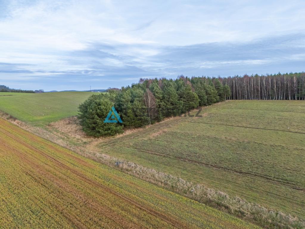 Atrakcyjna działka wśród lasów i jezior - Rekowo - zdjęcie 21