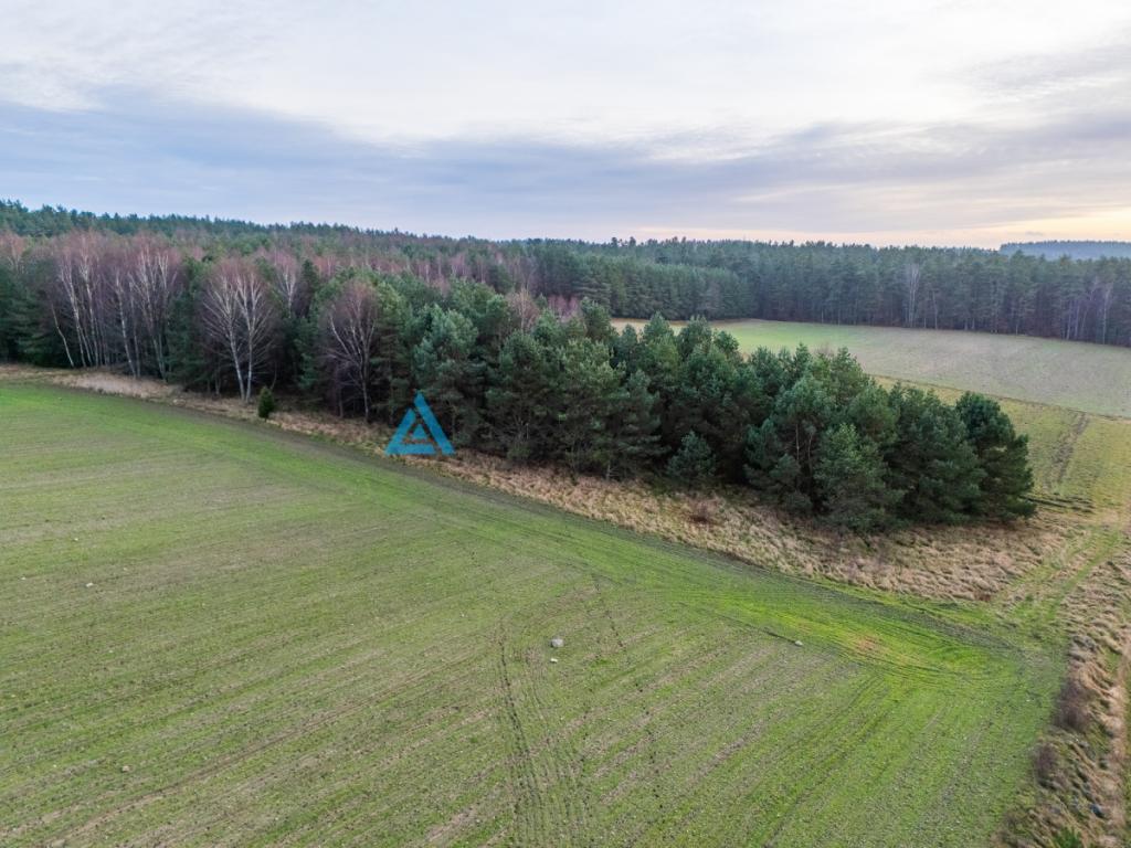 Atrakcyjna działka wśród lasów i jezior - Rekowo - zdjęcie 20