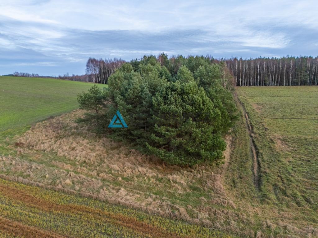 Atrakcyjna działka wśród lasów i jezior - Rekowo - zdjęcie 7