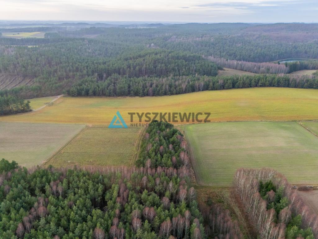 Atrakcyjna działka wśród lasów i jezior - Rekowo - zdjęcie 6