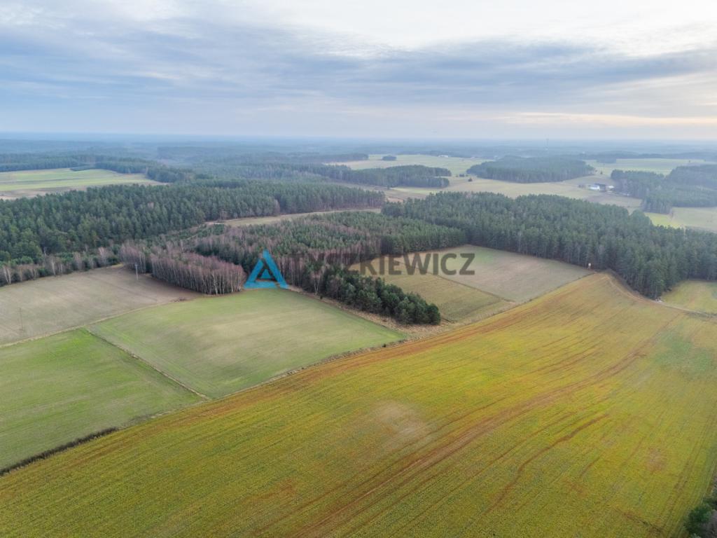 Atrakcyjna działka wśród lasów i jezior - Rekowo - zdjęcie 5