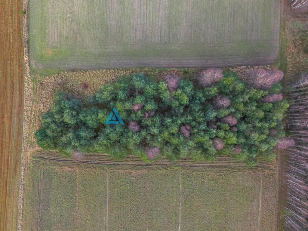 Atrakcyjna działka wśród lasów i jezior - Rekowo - zdjęcie 12