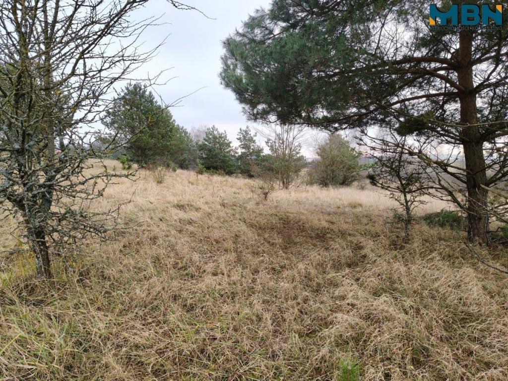 Działka inwestycyjna 5929&nbsp;m², Wydminy - zdjęcie 7