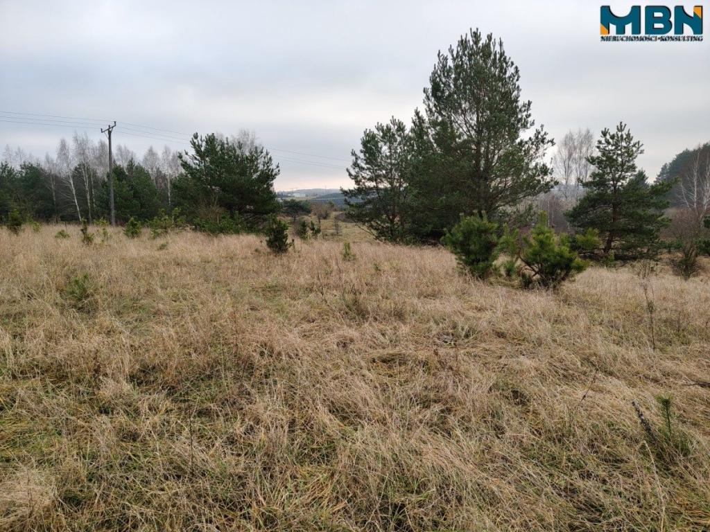 Działka inwestycyjna 5929&nbsp;m², Wydminy - zdjęcie 10