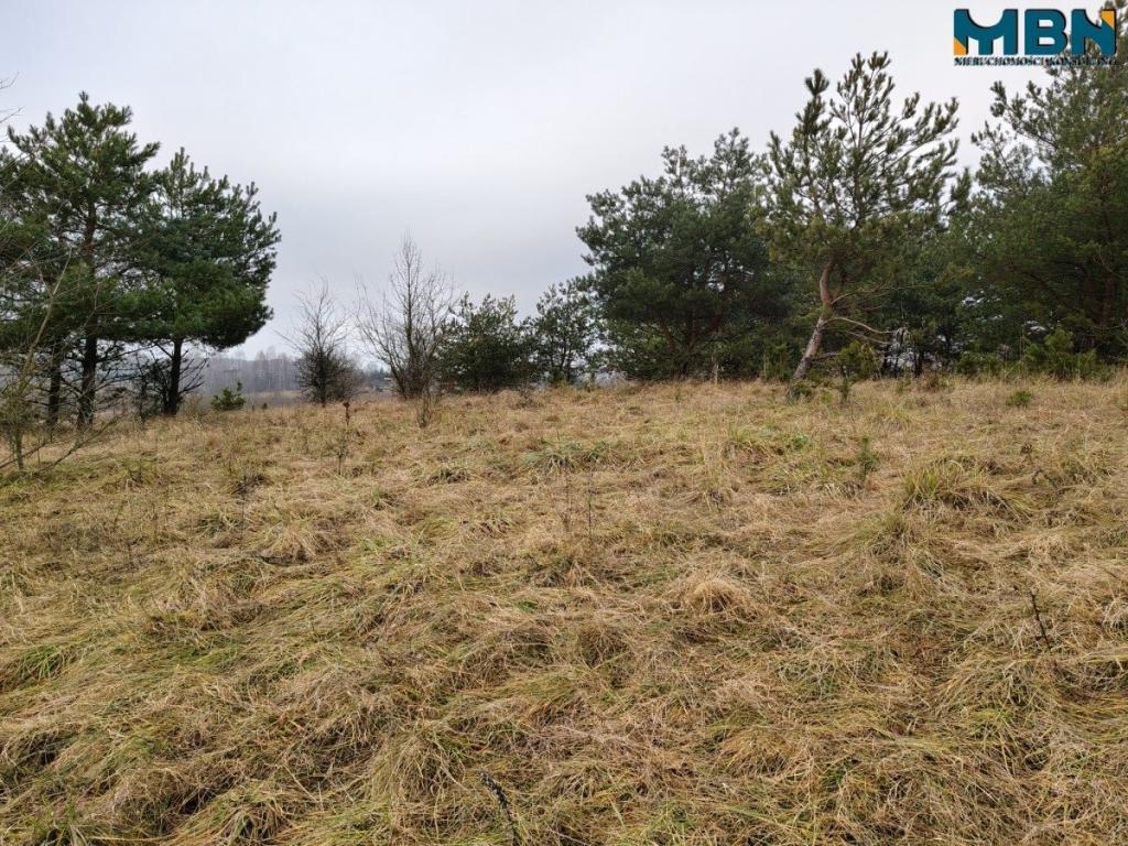 Działka inwestycyjna 5929&nbsp;m², Wydminy - zdjęcie 17