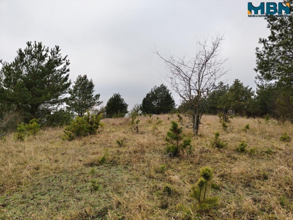 Działka inwestycyjna 5929&nbsp;m², Wydminy - zdjęcie 14