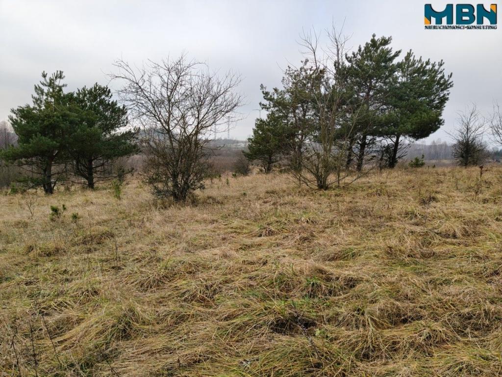 Działka inwestycyjna 5929&nbsp;m², Wydminy - zdjęcie 16