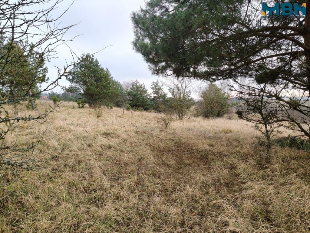 Działka inwestycyjna 5929&nbsp;m², Wydminy - zdjęcie 8