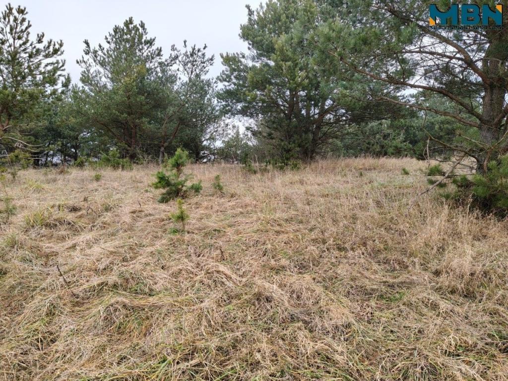 Działka inwestycyjna 5929&nbsp;m², Wydminy - zdjęcie 18