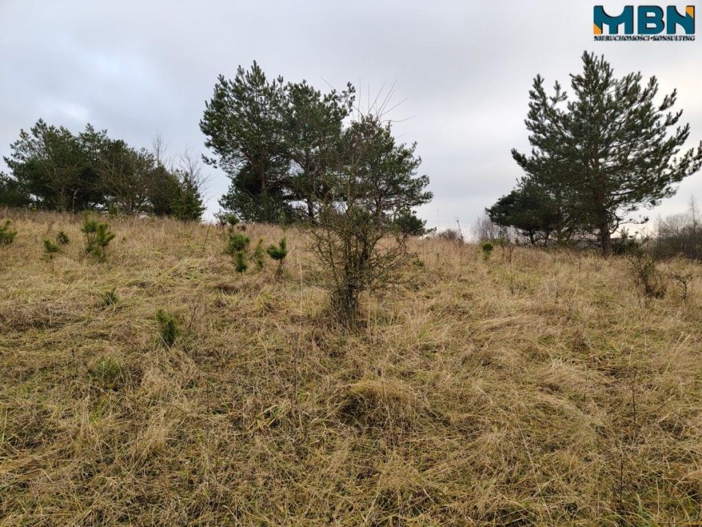 Działka inwestycyjna 5929&nbsp;m², Wydminy - zdjęcie 6