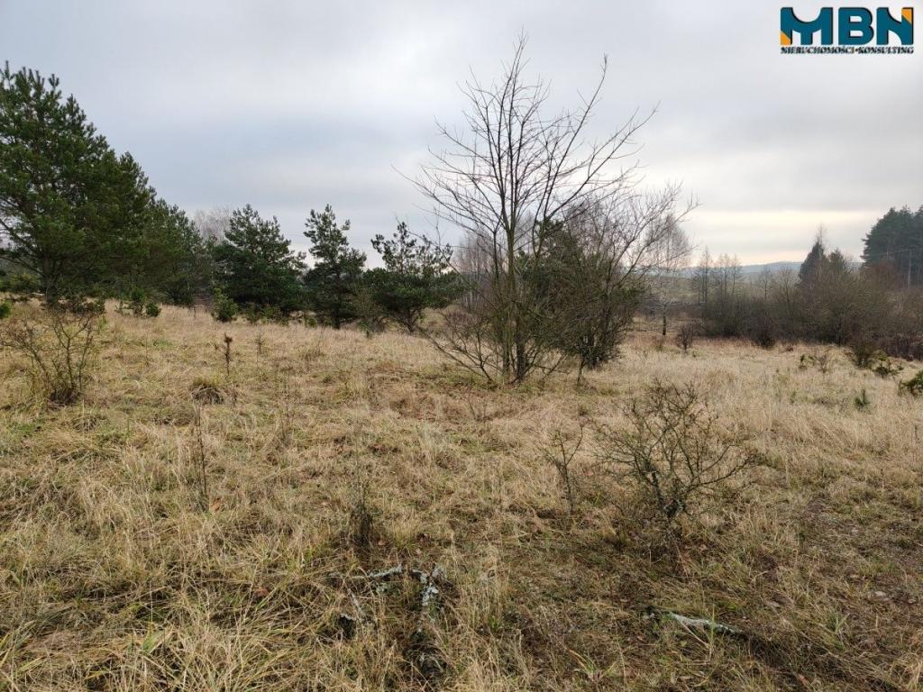 Działka inwestycyjna 5929&nbsp;m², Wydminy - zdjęcie 9