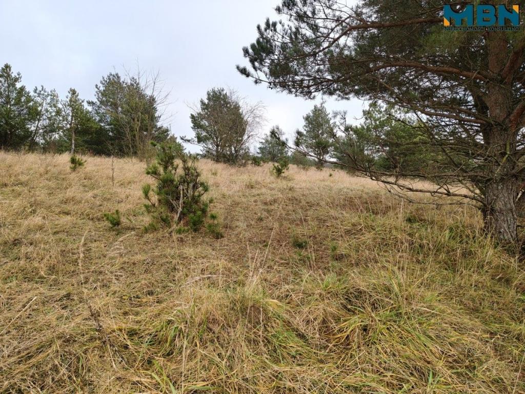 Działka inwestycyjna 5929&nbsp;m², Wydminy - zdjęcie 21