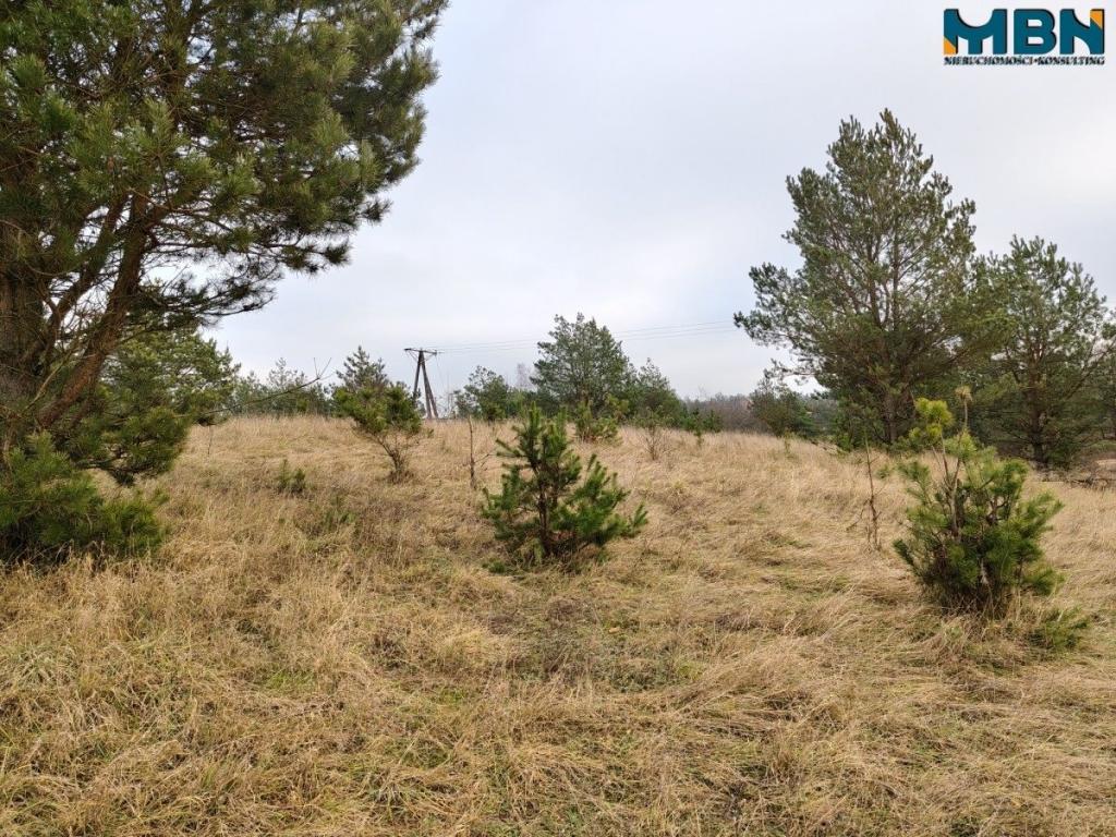 Działka inwestycyjna 5929&nbsp;m², Wydminy - zdjęcie 19