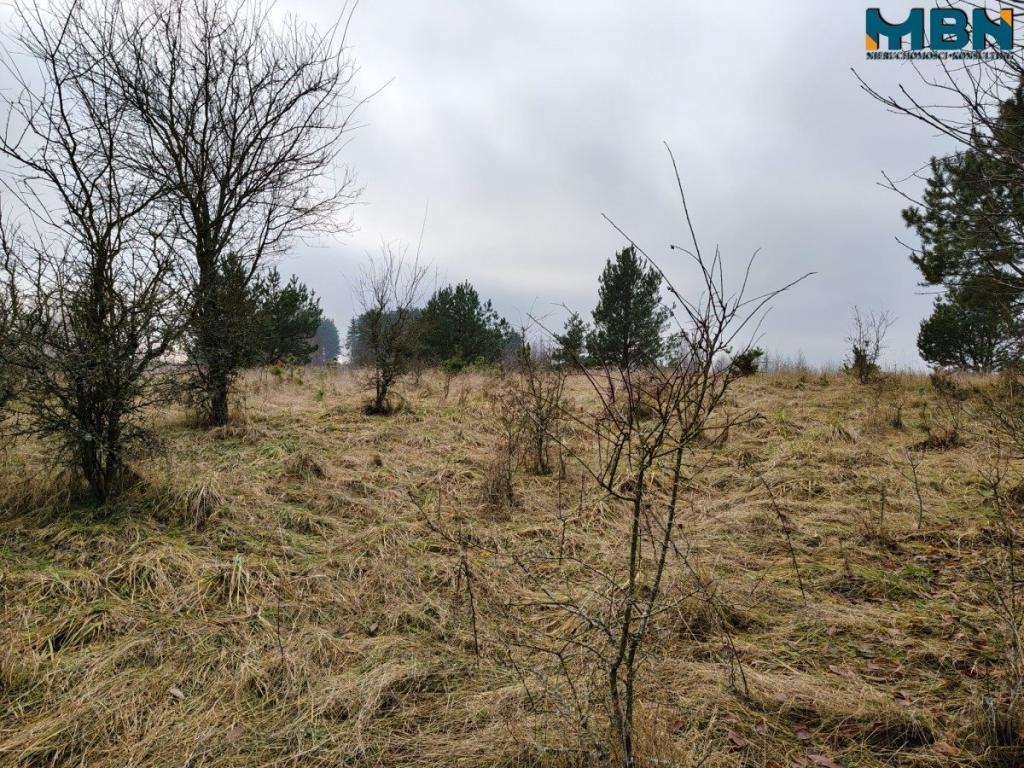Działka inwestycyjna 5929&nbsp;m², Wydminy - zdjęcie 13