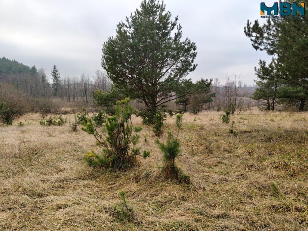 Działka inwestycyjna 5929&nbsp;m², Wydminy - zdjęcie 12