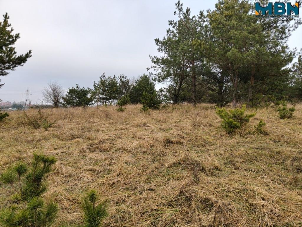 Działka inwestycyjna 5929&nbsp;m², Wydminy - zdjęcie 20