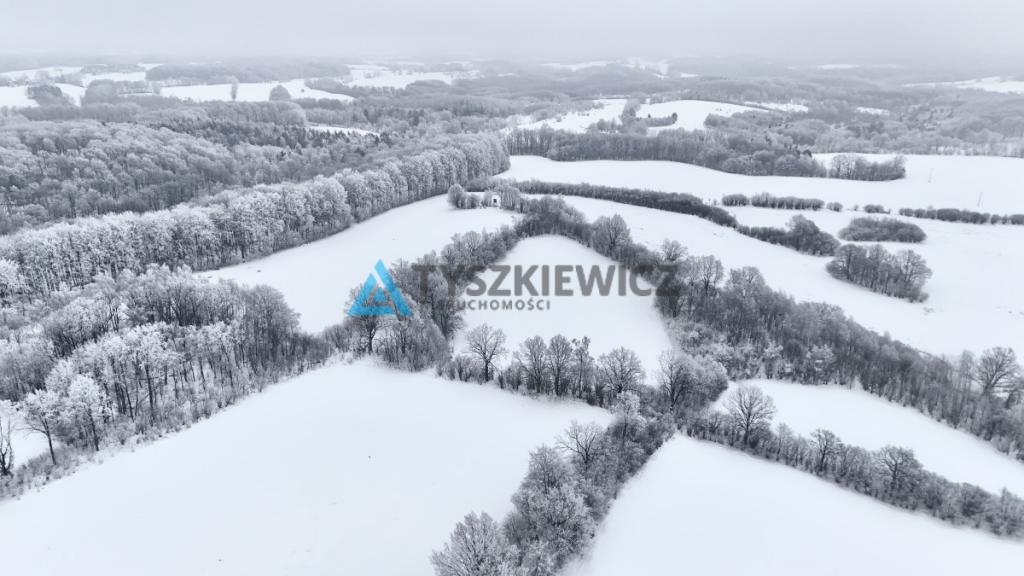 Działka na wzniesieniu z widokiem na Jezioro - zdjęcie 7