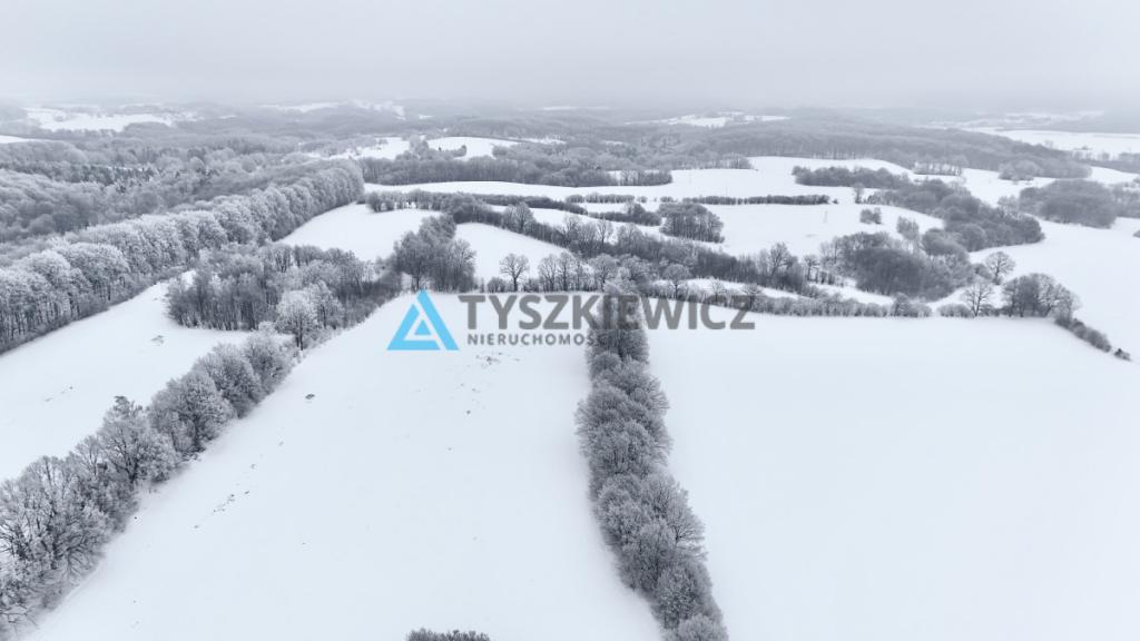 Działka na wzniesieniu z widokiem na Jezioro - zdjęcie 6